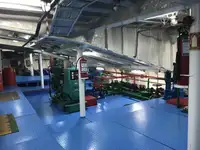 滚装船 待售