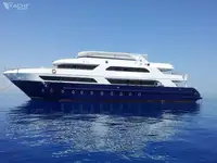 潜水支援船 待售