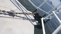 船员船 待售