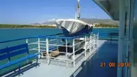 Ro-Ro ship 出售