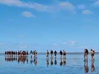 驳船 待售