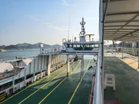 RoPax船 待售