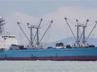 冷藏船 待售