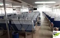 邮轮 待售