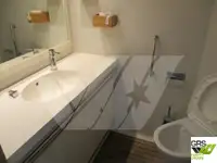 邮轮 待售