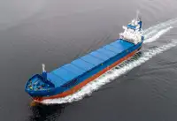 散货船 出售