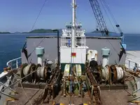 散货船 待售