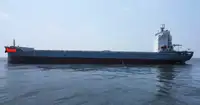 集装箱船 出售