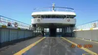 Ro-Ro ship 出售