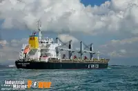 散货船 待售