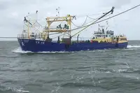 客船 出售