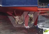 滚装船 待售
