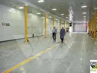 RoPax船 待售