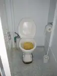 延绳钓渔船 待售