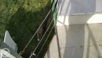 集装箱船 待售