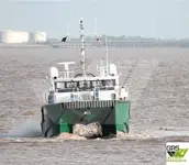 海上风电场服务船 待售