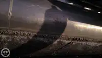 集装箱船 待售