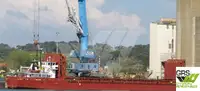 散货船 出售