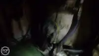 拖网渔船 待售