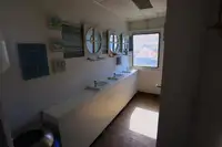 邮轮 待售