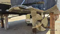 双体船 待售