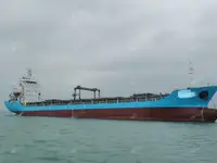 集装箱船 出售
