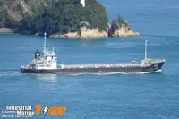 散货船 待售