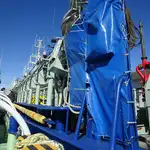 Purse seiner 出售