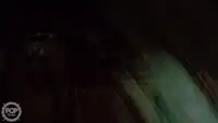 拖网渔船 待售