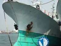 延绳钓渔船 待售