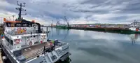双体船 待售