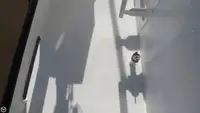 拖网渔船 待售