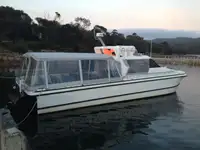双体船 出售
