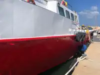 集装箱船 待售