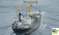 散货船 待售