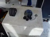 拖网渔船 待售