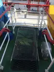 集装箱船 待售