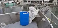 拖网渔船 待售