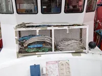 测量船 待售