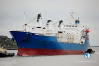 冷藏船 待售
