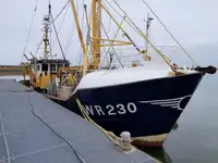 Trawler 出售
