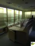 邮轮 待售