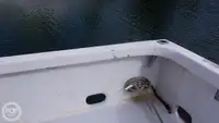 潜水支援船 待售