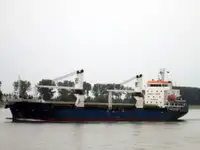 散货船 出售