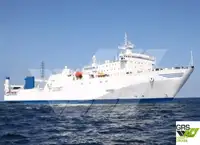 Ro-Ro ship 出售