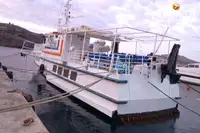 渡轮 待售