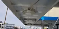 双体船 待售