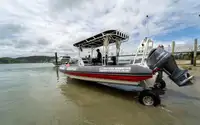 两栖船 待售