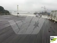 邮轮 待售