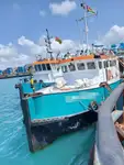 测量船 待售